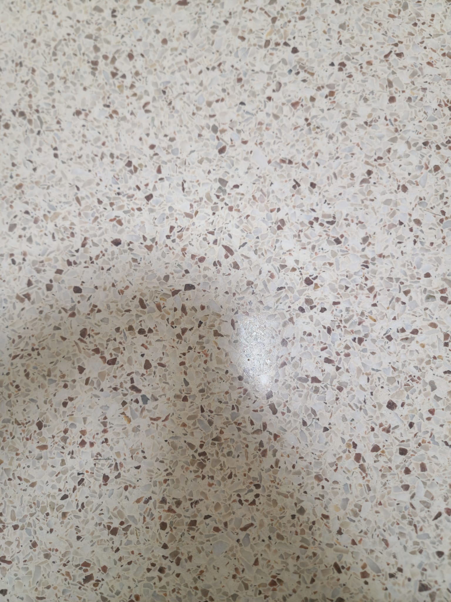 Moore High School — Terrazzo Restoration – image 2