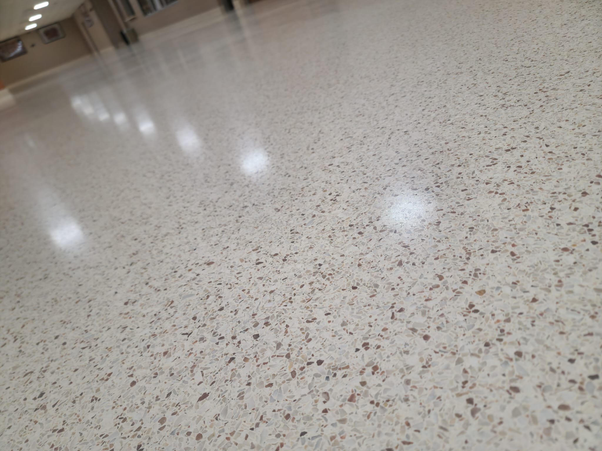 Terrazzo Restoration – project 1